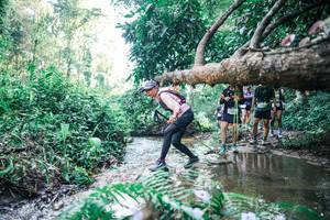 BIB: 
                            <button type="button" onclick="openModal(25445360)" class="btn btn-primary btn-sm float-right btn-popup" data-toggle="modal" data-target=".modal-high-quality">
                        <i class="fas fa-shopping-cart"></i> Add to Cart
                    </button>
                                            <button type="button" onclick="isThisMe(25445360, true)" class="btn btn-success btn-sm float-right btn-popup btn-isme hidden" data-toggle="tooltip" data-placement="bottom" title="นี่คือรูปของคุณใช่ไหม คลิกที่นี่เพื่อเอาเข้าอัลบั้ม">
                        <i class="fas fa-plus"></i> Add to album
                    </button>
                    <button type="button" onclick="isThisMe(25445360, false)" class="btn btn-warning btn-sm float-right btn-popup btn-isnotme hidden">
                        <i class="fas fa-ban"></i> Remove from album
                    </button>